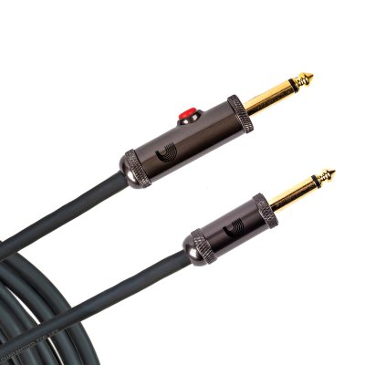 PW-AGL-30 i gruppen Kabler / D'Addario Accessories / Instrument Cables / Custom Series hos Crafton Musik AB (370701917050)