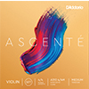 Ascente