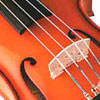 Viola
