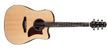 Western-gitar