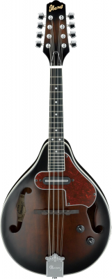 M510E-DVS i gruppen Annet strengeinstrumenter / Mandolin / Ibanez hos Crafton Musik AB (310010200813)