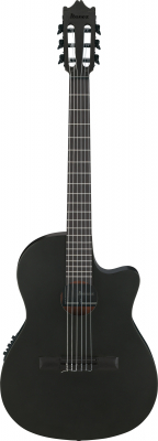 GA621-BOT i gruppen Gitar / Klassisk og Spansk Gitar / Ibanez / FRH hos Crafton Musik AB (310108511114)