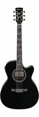 AC391RCE-BKH i gruppen Ibanez news september 2025 hos Crafton Musik AB (310125800813)