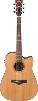 AW65ECE-LG i gruppen Gitar / Western Gitar / Artwood hos Crafton Musik AB (310127371212)