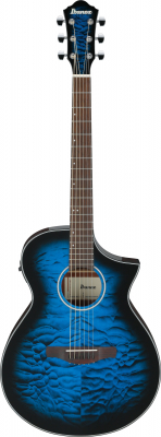 AEWC16QA-TLH i gruppen Gitar / Western Gitar / AEW hos Crafton Musik AB (310134631114)