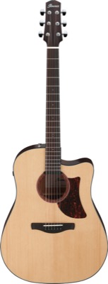 AAD170CE-LGS i gruppen Gitar / Western Gitar / AAD Advanced Acoustic hos Crafton Musik AB (310143521313)