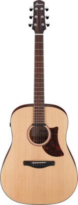 AAD100E-OPN i gruppen Gitar / Western Gitar / AAD Advanced Acoustic hos Crafton Musik AB (310143541313)