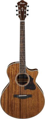 AE245-NT i gruppen Gitar / Western Gitar / AE hos Crafton Musik AB (310145301313)