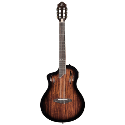 RTPDLX-ACA-L i gruppen Gitar / Klassisk og Spansk Gitar / Ortega / TourPlayer Series hos Crafton Musik AB (332156053349)
