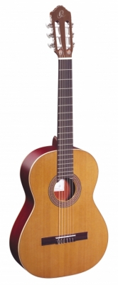 R200 i gruppen Gitar / Klassisk og Spansk Gitar / Ortega / 4/4 Scale / Full Size Standard hos Crafton Musik AB (332174053249)