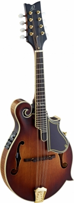 RMFE100AVO i gruppen Annet strengeinstrumenter / Mandolin / Ortega / Med Pickup hos Crafton Musik AB (332356103249)