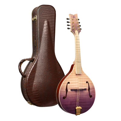 RMA200PF i gruppen Annet strengeinstrumenter / Mandolin / Ortega / A Style hos Crafton Musik AB (332358053249)