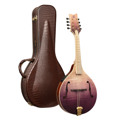 RMAE200PF i gruppen Annet strengeinstrumenter / Mandolin / Ortega / A Style hos Crafton Musik AB (332358103249)