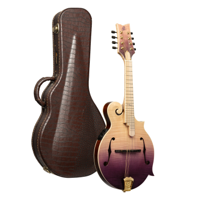 RMFE200PF i gruppen Annet strengeinstrumenter / Mandolin / Ortega / A Style hos Crafton Musik AB (332358203249)