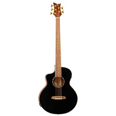D8CE-5-L i gruppen Bass / Akustisk / Ortega / 4-Str�ngade hos Crafton Musik AB (332380853349)