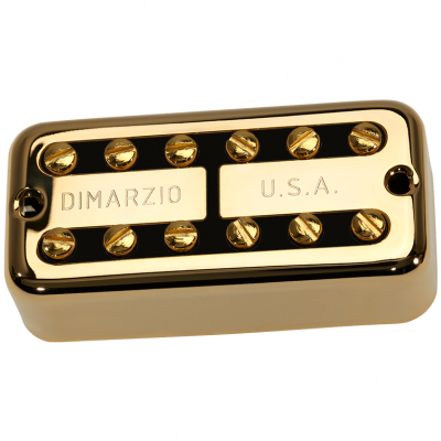 DP291GBK i gruppen Pickups / Elgitarr / DiMarzio / Filter'tron hos Crafton Musik AB (376099067650)