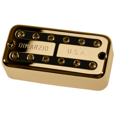 DP297FGBK i gruppen Pickups / Elgitarr / DiMarzio / Filter'tron hos Crafton Musik AB (376099447650)