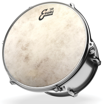 TT14C7 i gruppen Trommer / Evans (Tromskinn, rekvisita) / Tom-tomskinn hos Crafton Musik AB (770117147150)