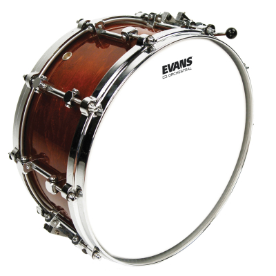 Orchestral Snare i gruppen Trommer / Evans (Tromskinn, rekvisita) / Orkesterskinn hos Crafton Musik AB (770805147150r)