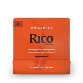 RJA0120-B25