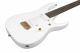 RGDR61G-WH RGDR61G-WH