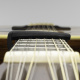 PW-CP-19 PW-CP-19