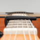 PW-CP-19 PW-CP-19