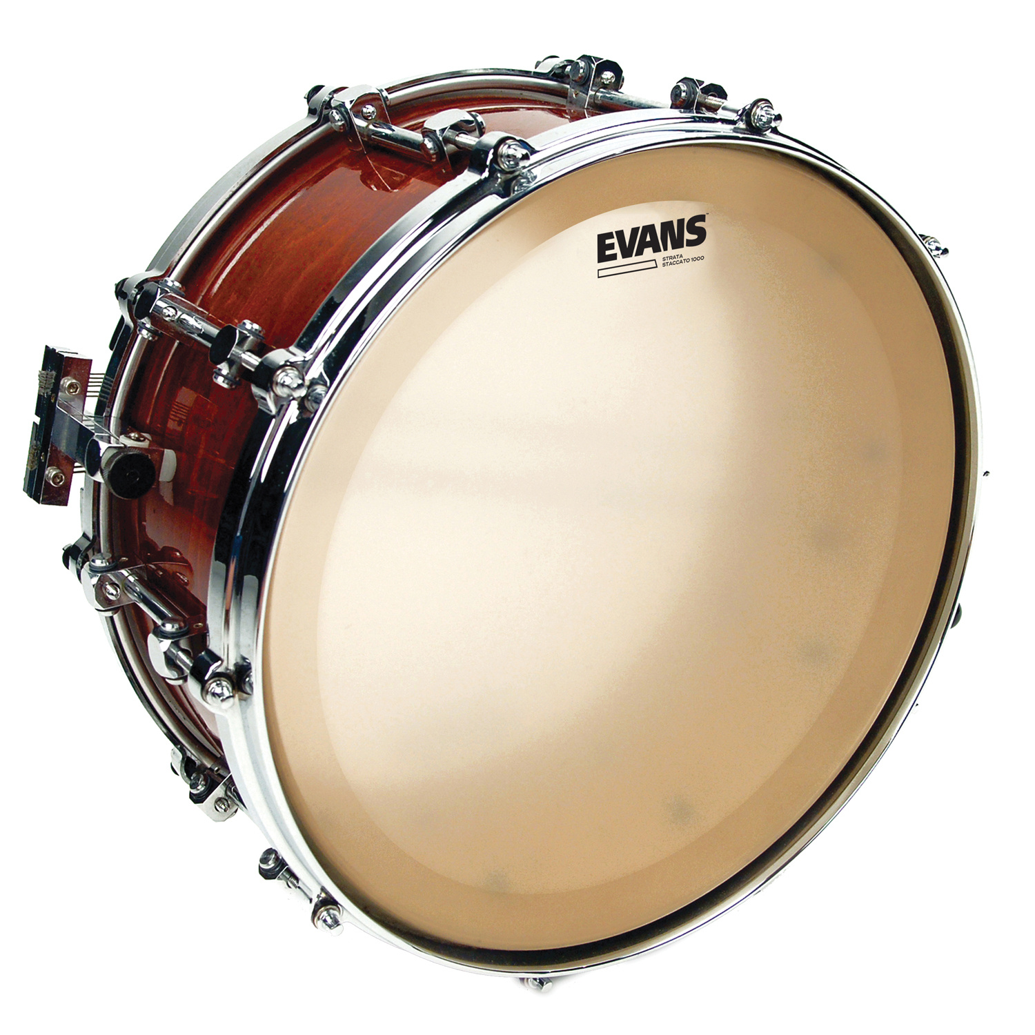 Strata Staccato 1000